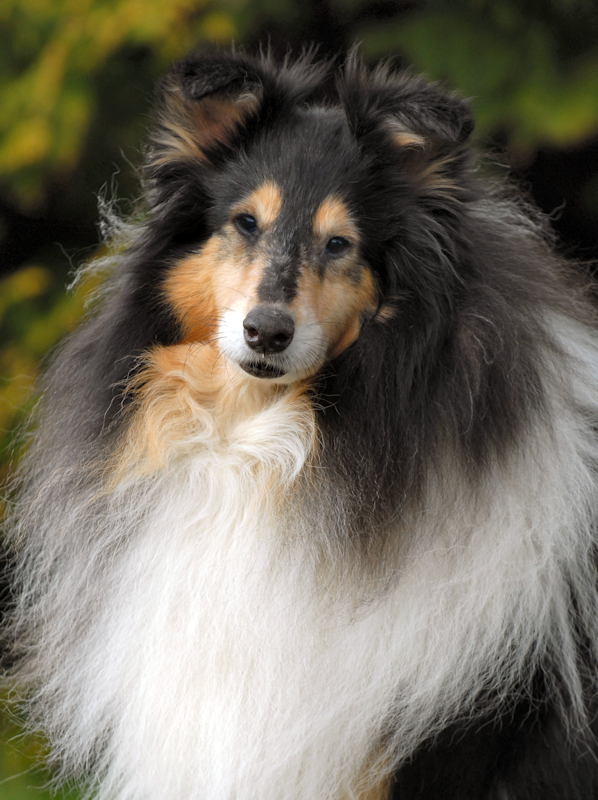Coco, 11.04.2010