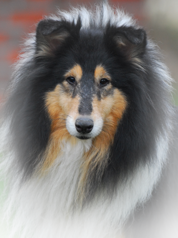 Coco, 20.12.2007