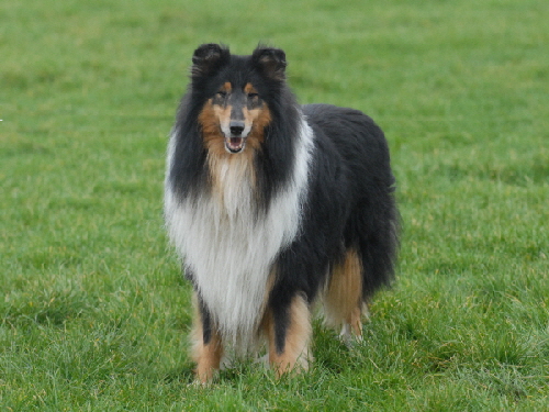 Duke, 2007
