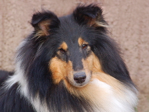 Gale2006-DEZ-03_027