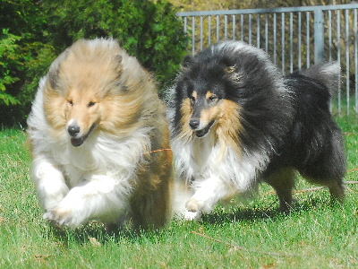 Neo und Tobi, 2015