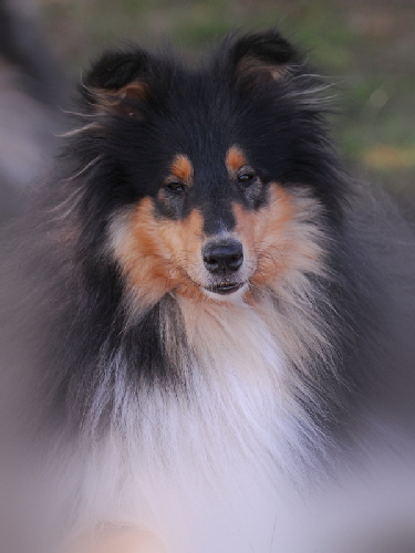Nicky