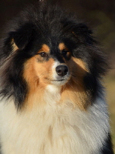 Penny-2017-01-21_001