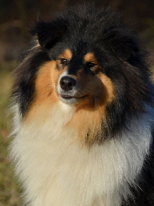 Penny-2017-01-21_005