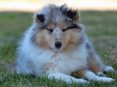 Tom, Juni 2006