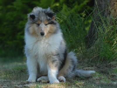 Tom, Juni 2006