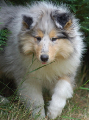 Tom, Juni 2006