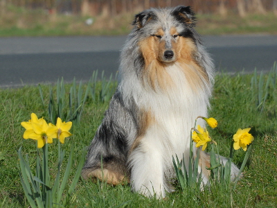 Frohe Ostern