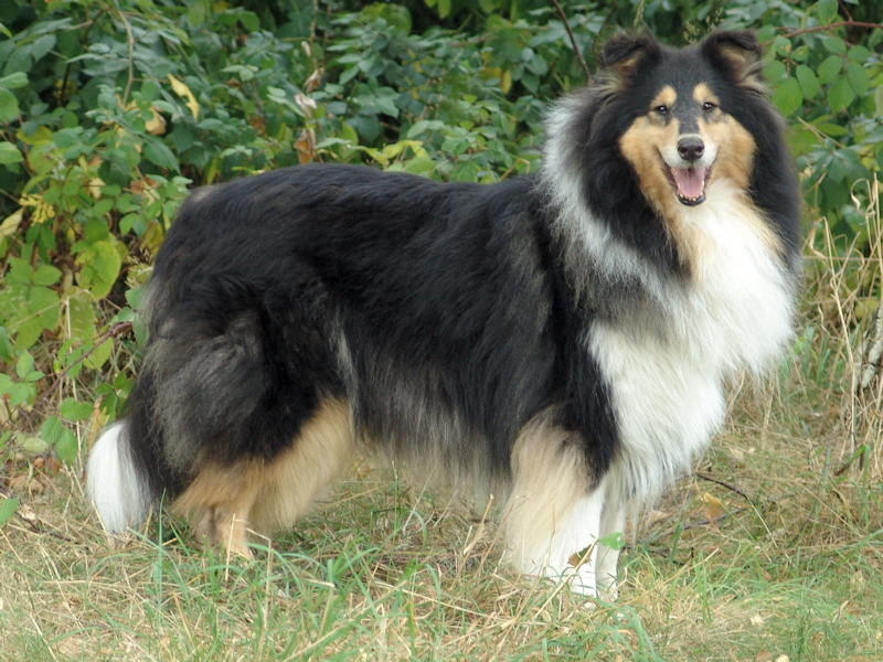 Coco, 09.09.2005