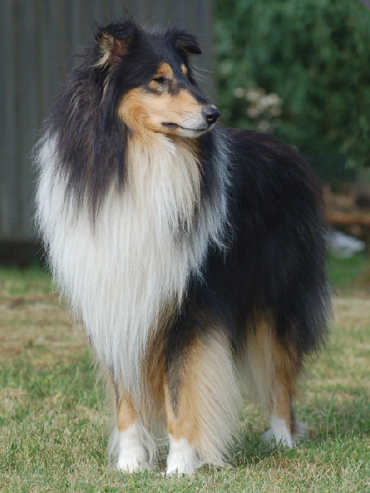 rico2012_2117